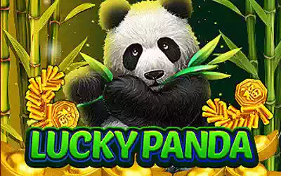 Lucky Panda