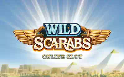 Wild Scarabs