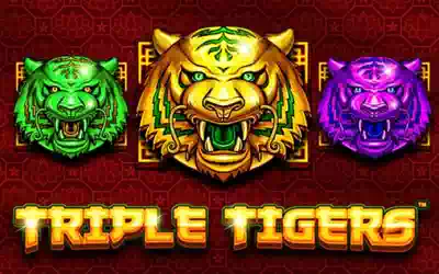 Triple Tigers