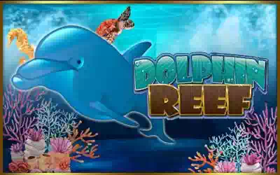 Dolphin Reef